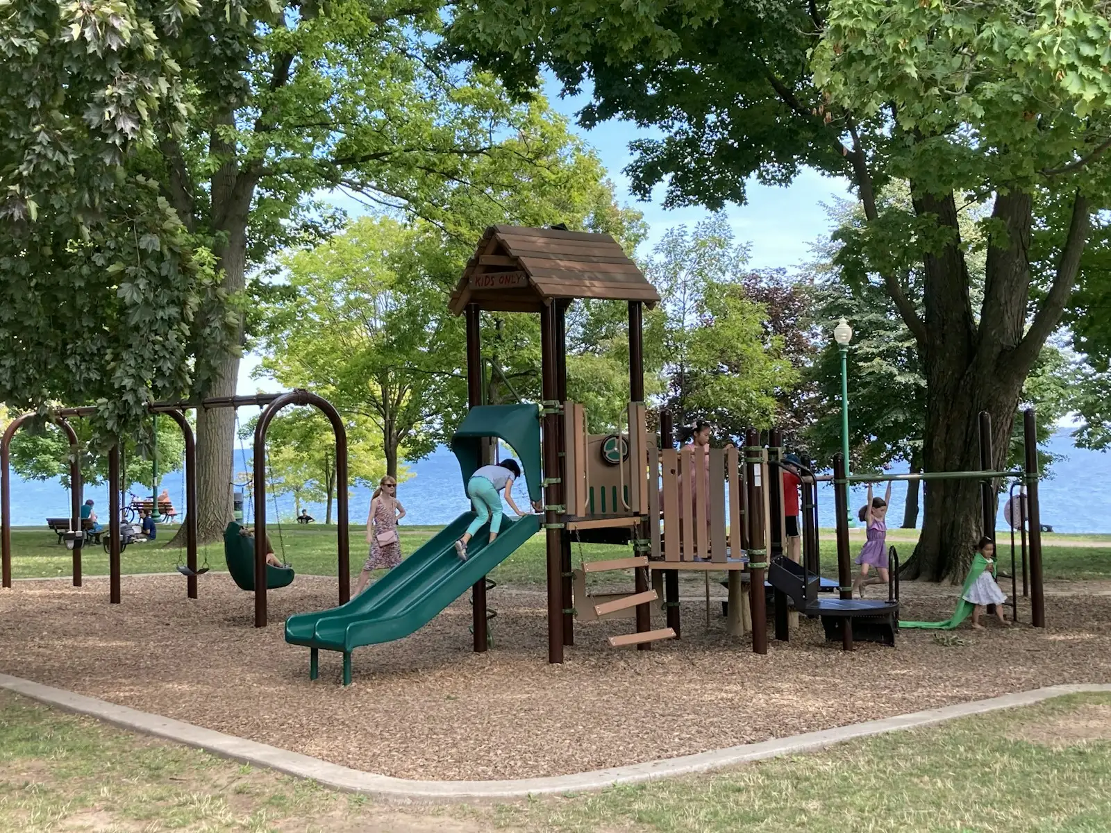A wooden playground under green trees