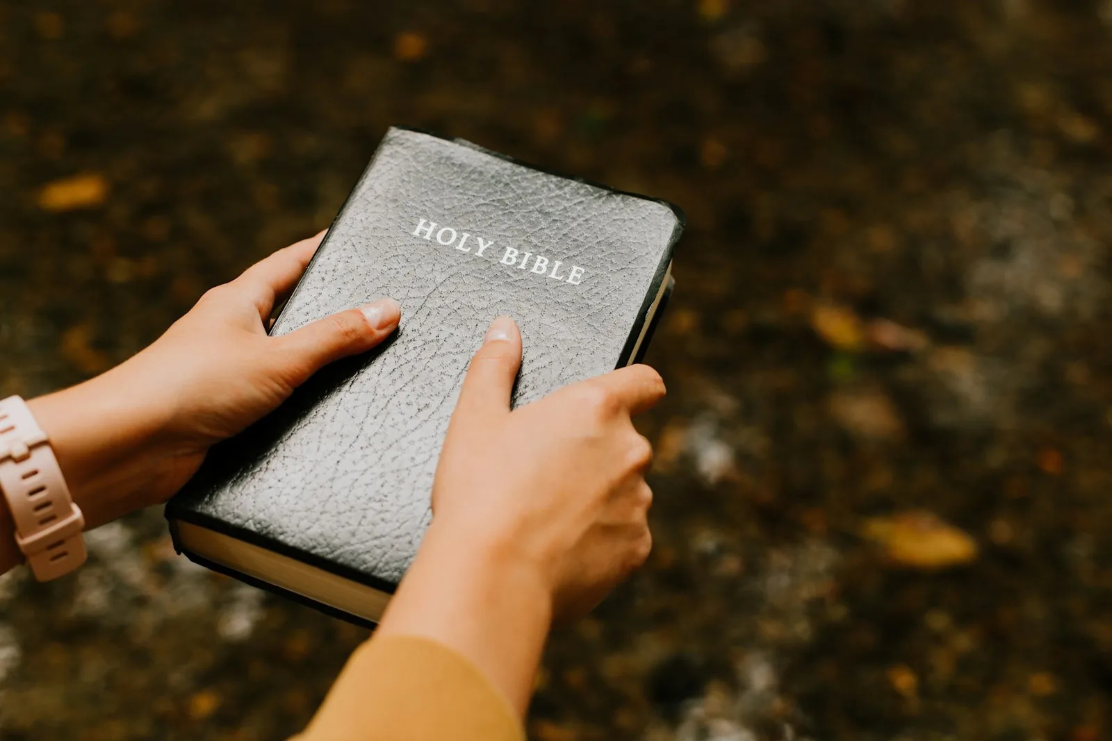 Hands holding a Holy Bible